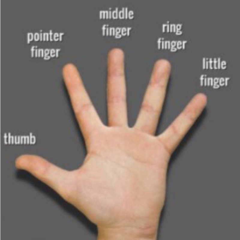 英语手指游戏教学视频_儿童英语手指游戏_幼儿手指游戏英语