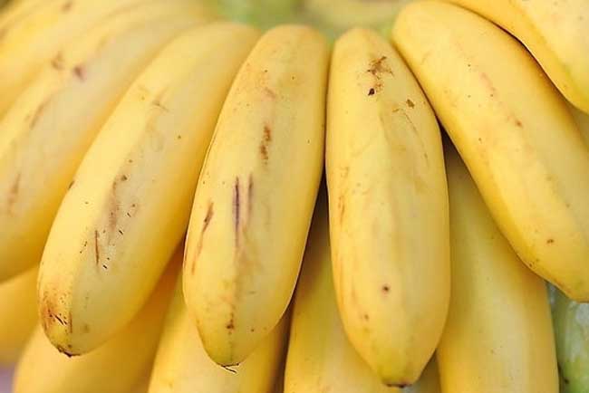 香蕉大小_香蕉大的好吃_大香蕉在现