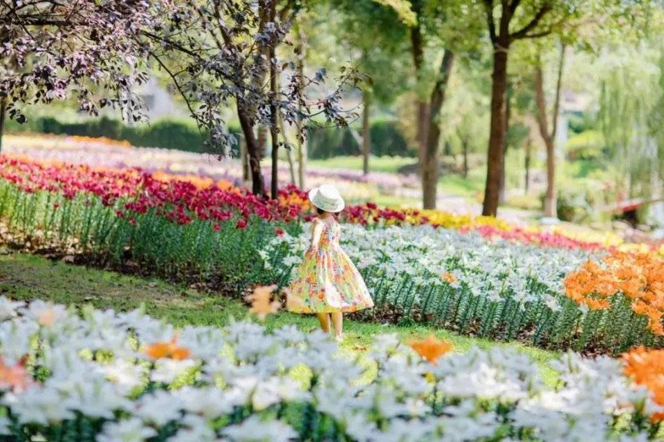 鲜花礼服造型图片_鲜花礼服_鲜花小礼服