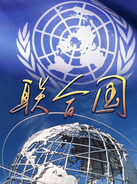 中国2联合国之章_联合国的章程_联合国印章