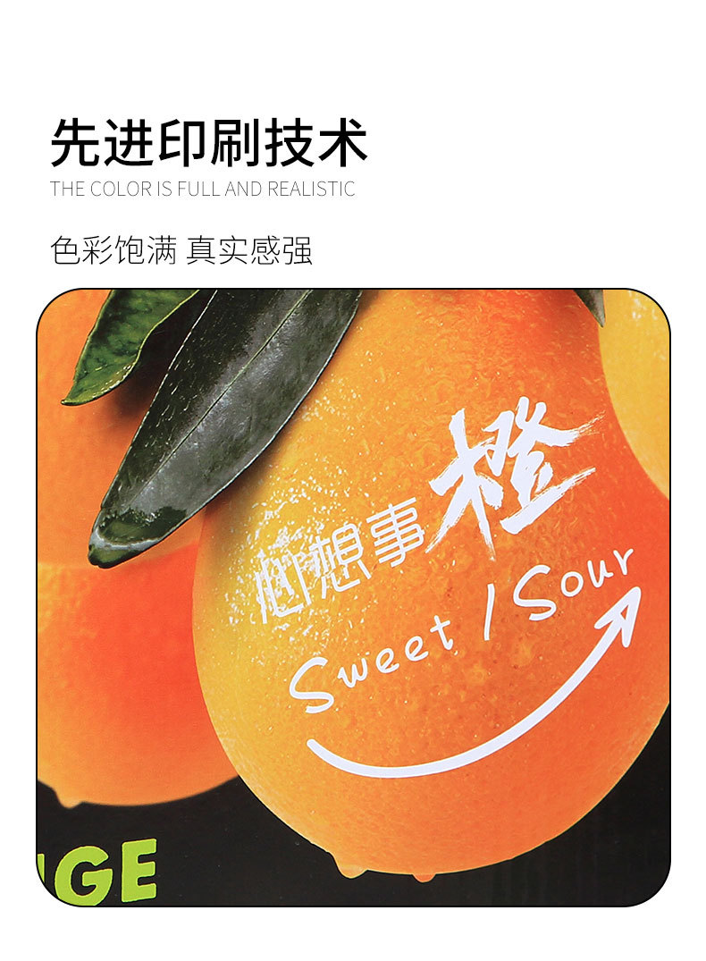 橘种子功效_橘子种子图片大全_橘梨纱种子