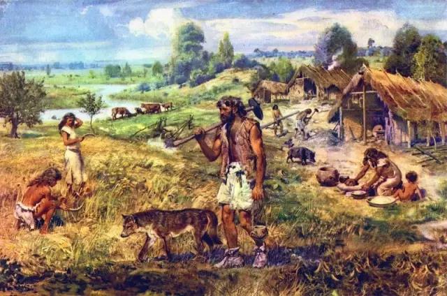 进化原始游戏人物图片_原始人进化游戏_进化原始游戏人物排行