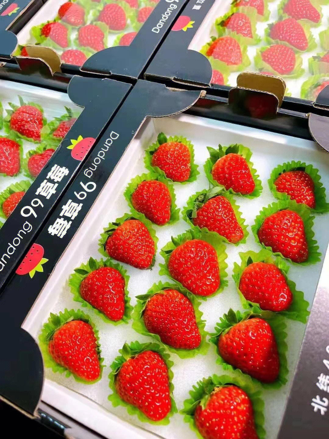 草莓h_草莓h_草莓h