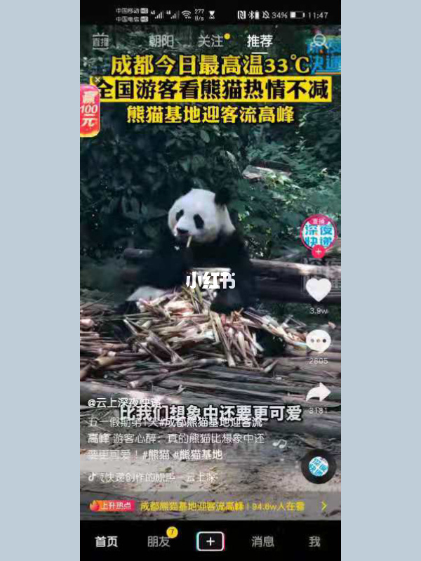熊猫app下载安装_熊猫下载安卓_熊猫下载apk