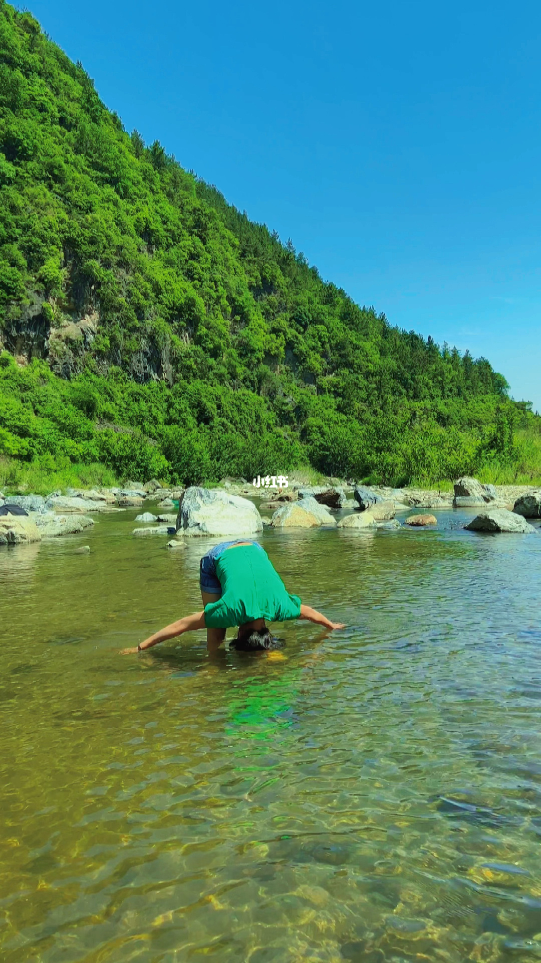 汪汪队历险记游戏_汪汪历险队_汪汪历险记