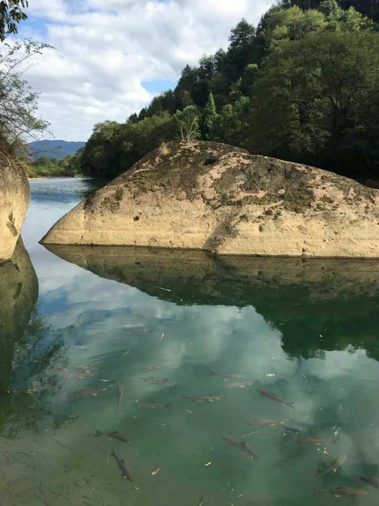 汪汪历险队_汪汪历险记_汪汪队历险记游戏