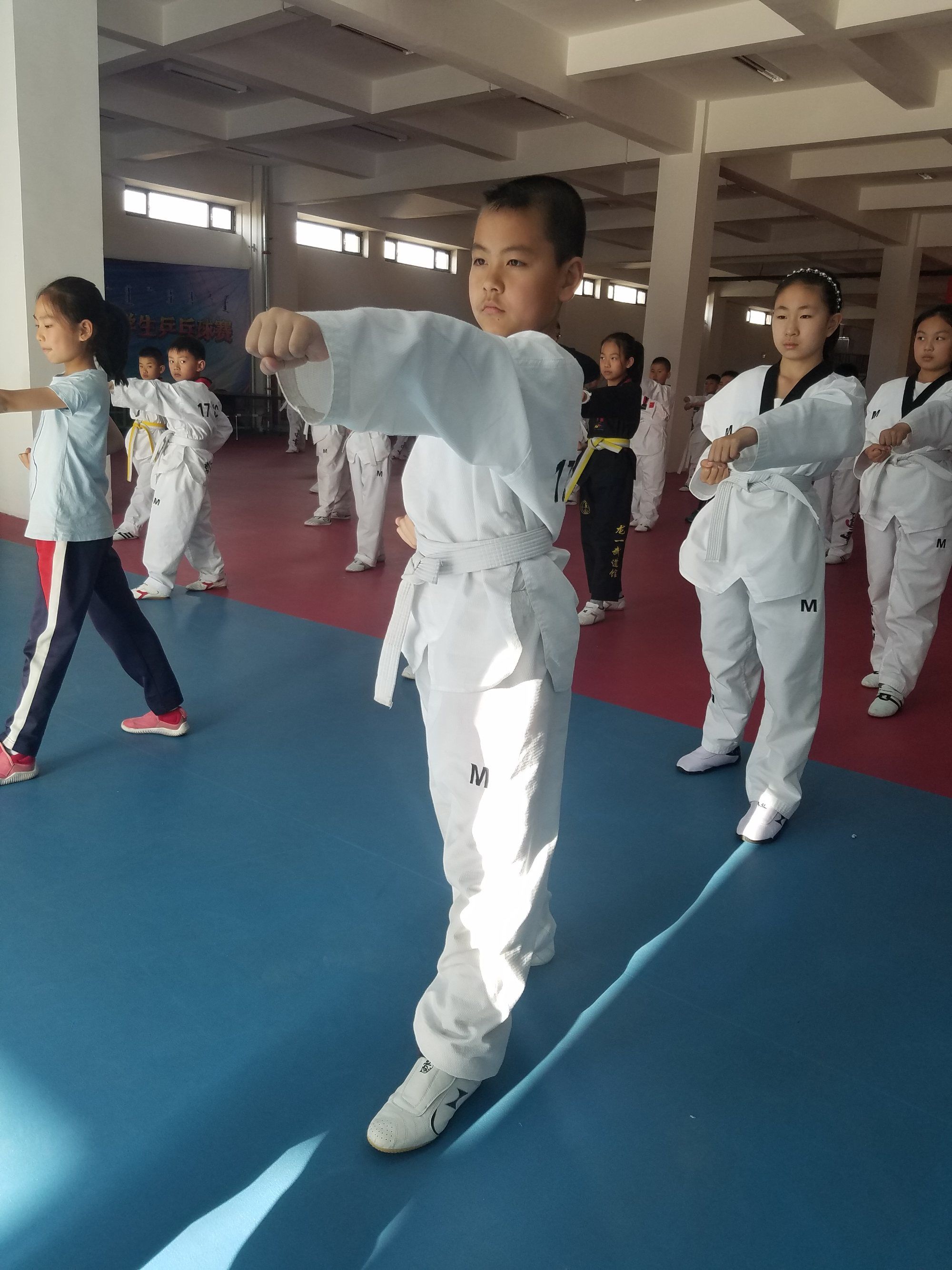 武道通天_通天武道开局一种圆满法李白金_通天武道我要封神