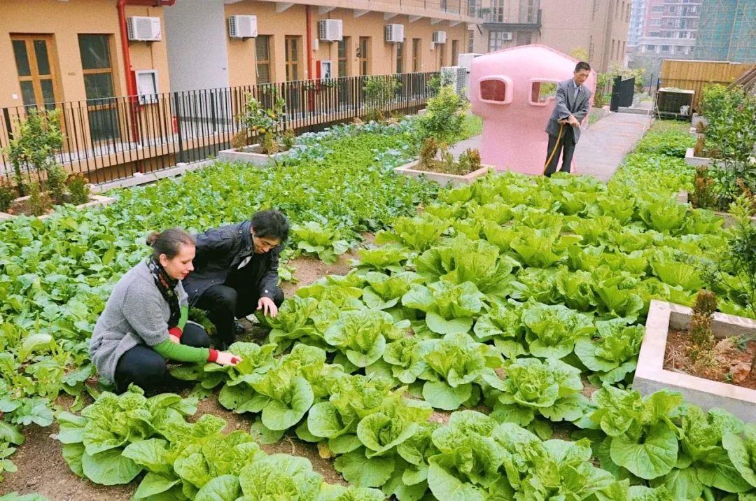 小时候玩的手机游戏的名字_手机怎么玩psp游戏_带侯的游戏名