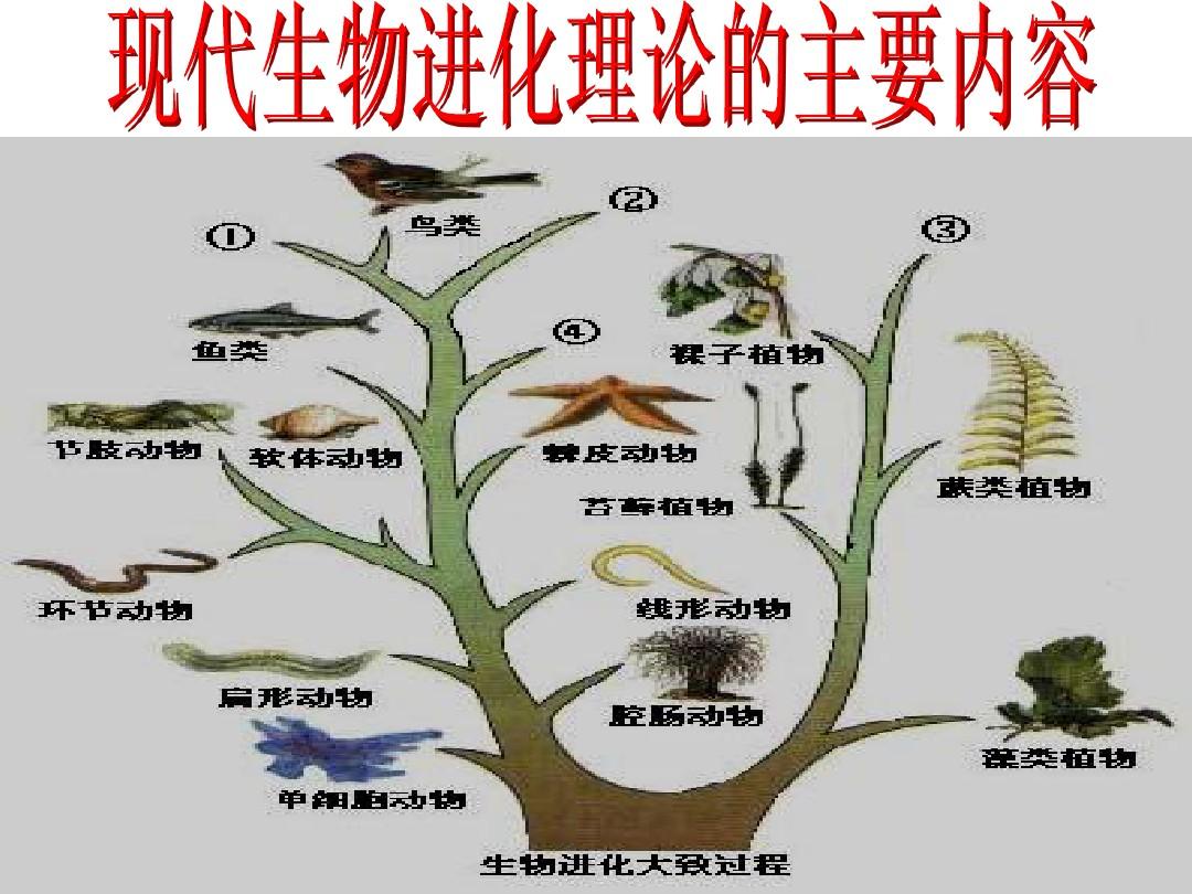 进化版手机游戏大全_进化版手机游戏推荐_游戏《进化》手机版