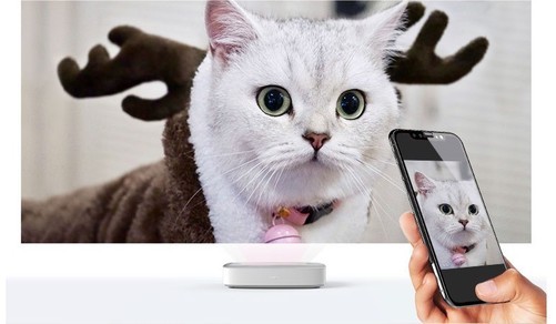 修猫的网络用语是什么意思_星猫修手机游戏_修猫是什么猫照片