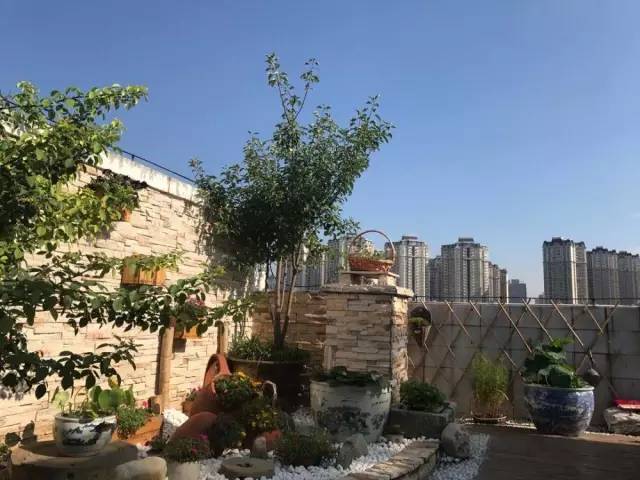 经典手机养成游戏_养性手机游戏_手机游戏养成类推荐