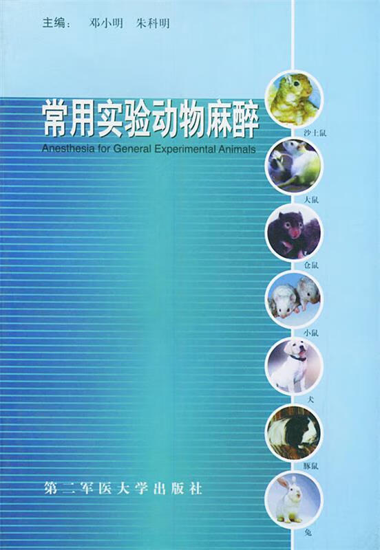 为什么买了游戏玩不了手机_买个玩游戏的手机_买玩手机游戏的平台