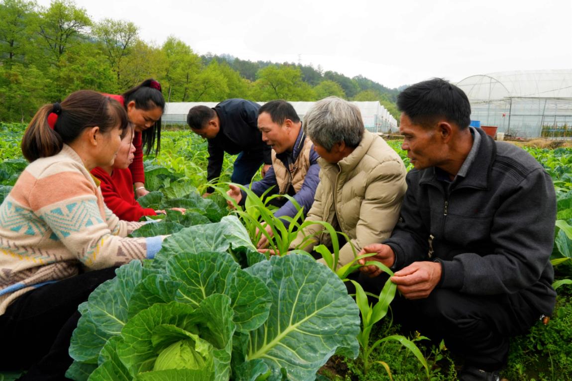 小型游戏手机桌面_桌面小型手机游戏推荐_桌面小型手机游戏软件