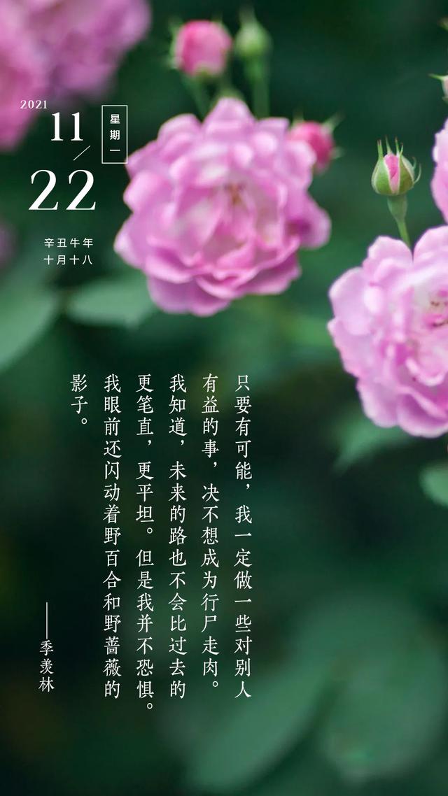 2月22_9月10月11月12月英文_月字旁的字