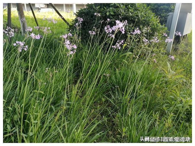 五岁男孩玩手机游戏后果_后果男孩玩手机游戏怎么办_玩手机的小男孩