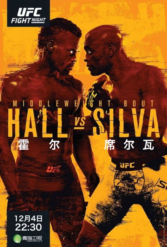 游戏ufc手机版_火影单机版手机游戏_破解版手机游戏