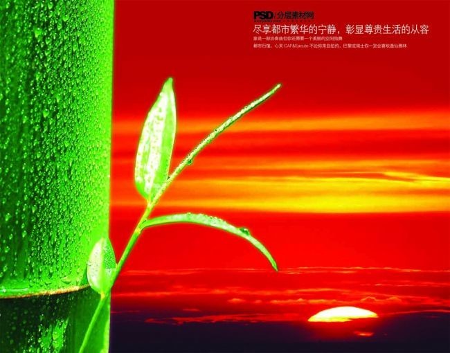 竹子社手机游戏列表_竹子游戏手机版_竹子版手机游戏大全