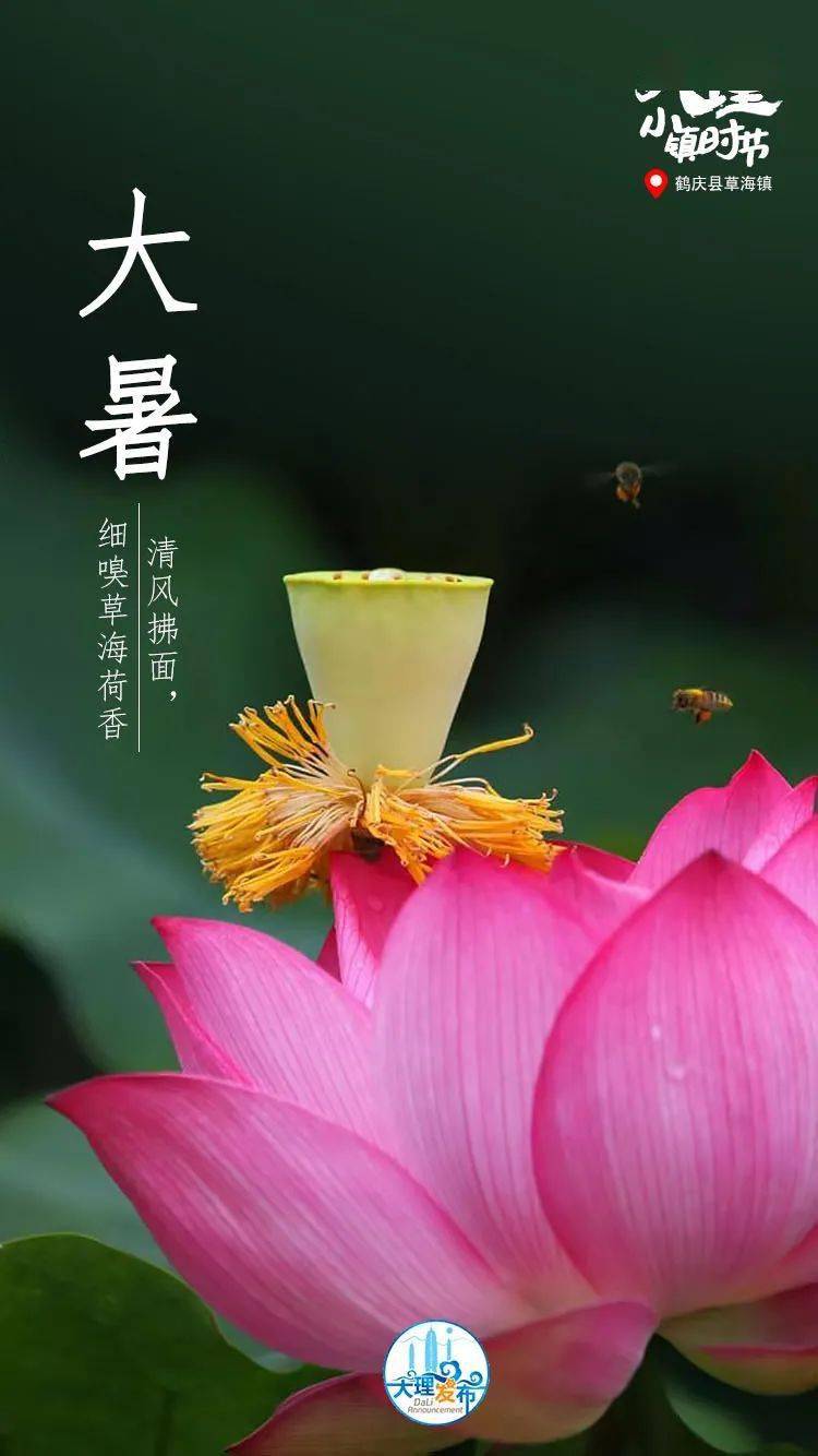 大暑名诗_大暑诗歌朗诵_大暑诗词