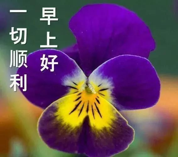 白嫖者联盟官网免费入口_白嫖者联盟app最新版下载_白娅