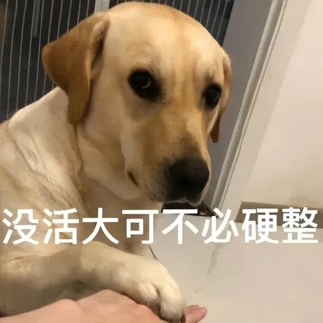 miui手机分身关闭_小米关闭手机分身_小米手机分身怎么关闭