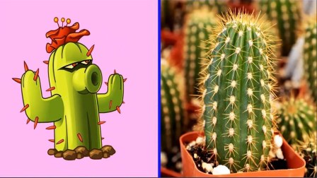种植物养成游戏_养成植物类手机游戏有哪些_手机植物养成类游戏