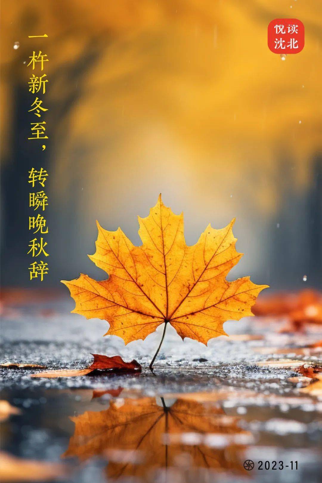 紫蜂_蜂紫棚警察_蜂紫是什么意思
