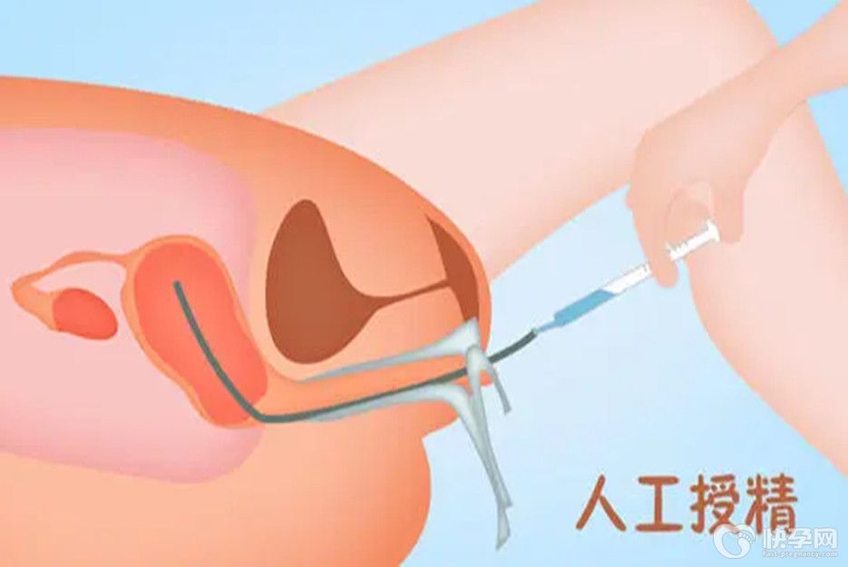 帧率显示器下载_帧率显示软件下载_帧数下载安装