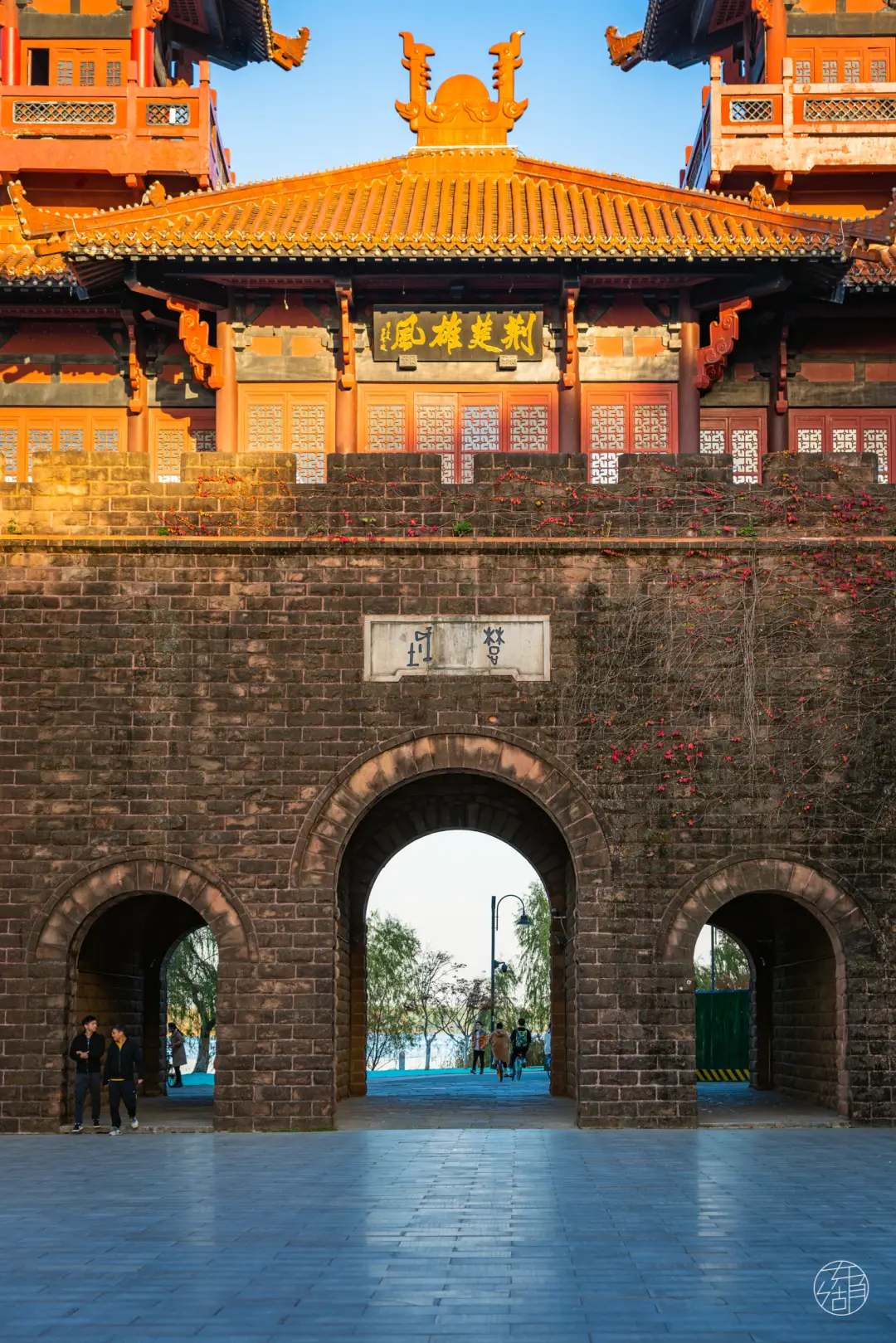 游戏鱿鱼大全手机版_鱿鱼游戏手游大全_鱿鱼游戏 手机游戏大全