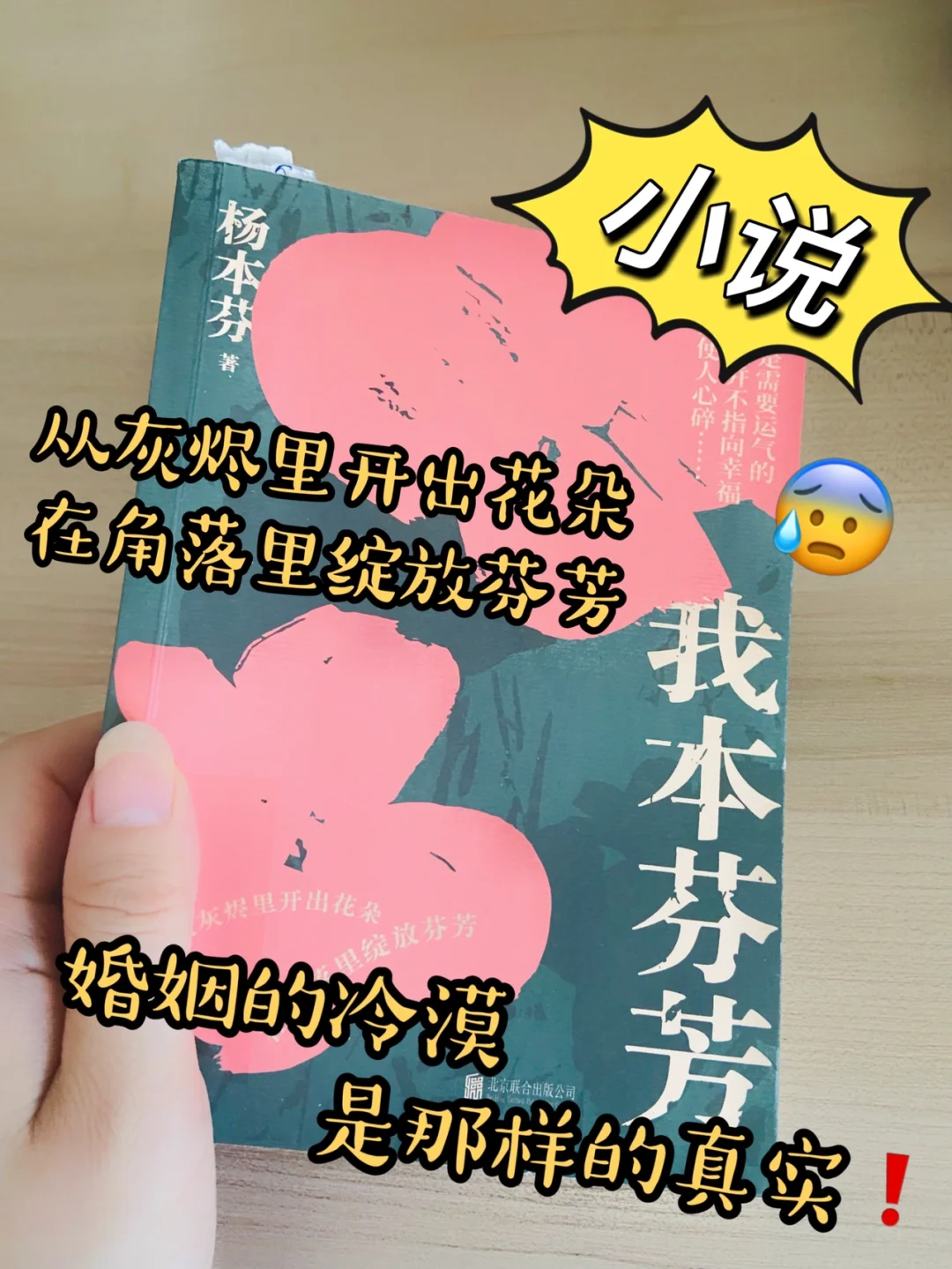 新蔷薇少女_新蔷薇少女_新蔷薇少女