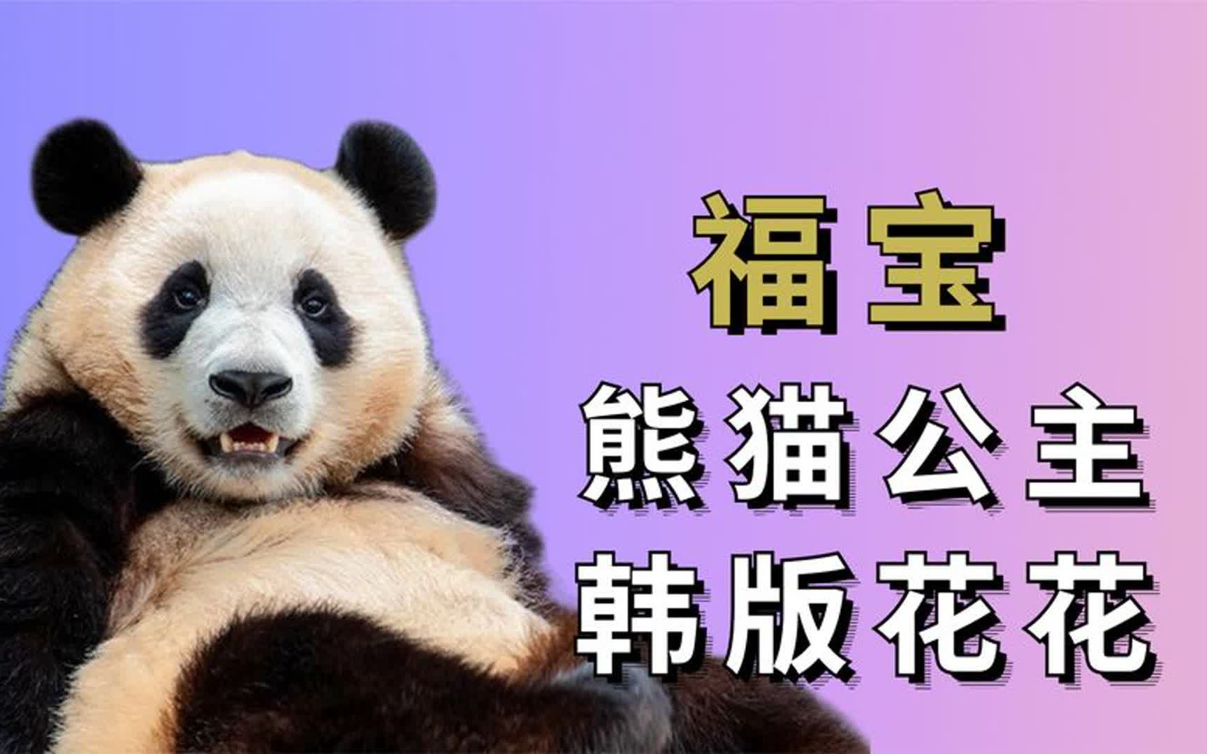 熊猫玩儿手机游戏怎么玩_熊猫玩儿手机游戏_熊猫玩手游平台app官网下载